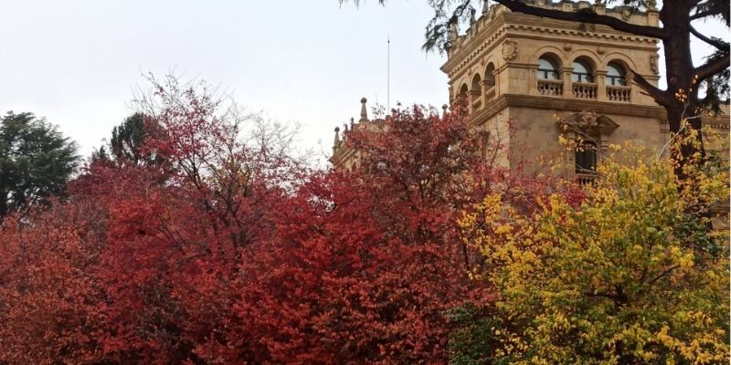 Otoño en Salamanca
