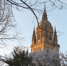 Salamanca Ciudad Patrimonio de la Humanidad Torre Catedral Salamanca Ciudad Patrimonio de la Humanidad Torre catedral